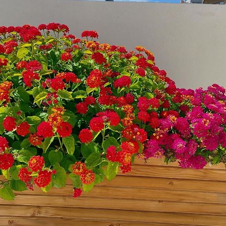 The Little Big Apartment In The Heart Of Heraklion ภายนอก รูปภาพ