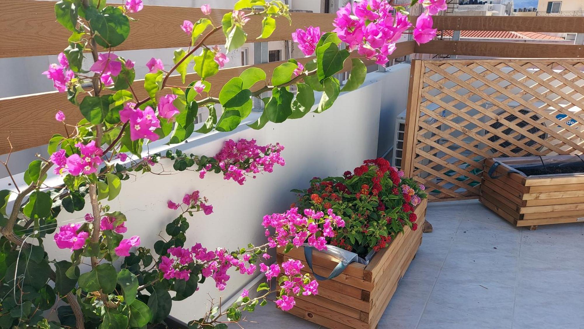 The Little Big Apartment In The Heart Of Heraklion ภายนอก รูปภาพ