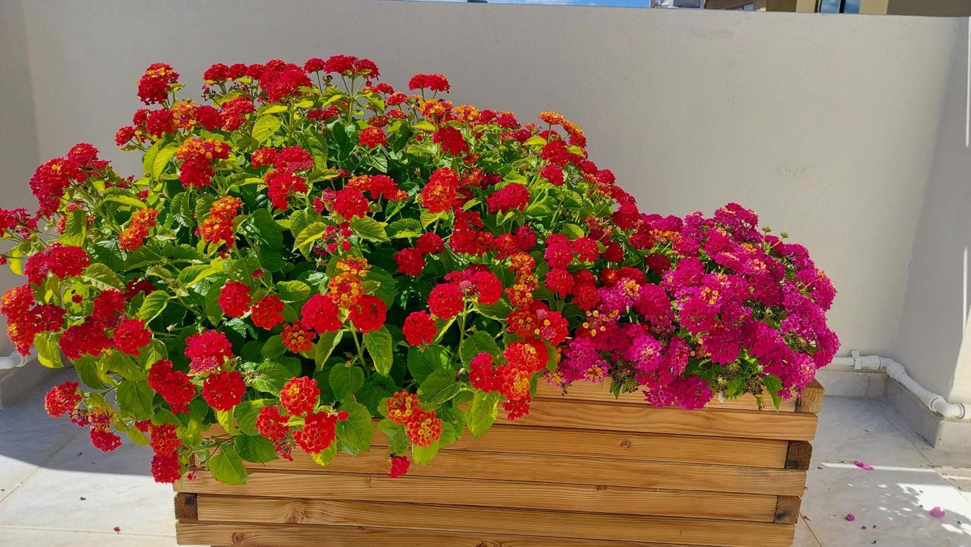 The Little Big Apartment In The Heart Of Heraklion ภายนอก รูปภาพ